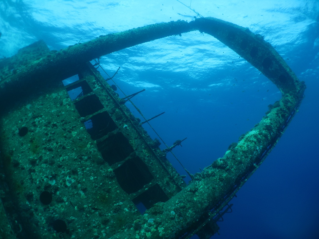 red sea day 4 032.JPG